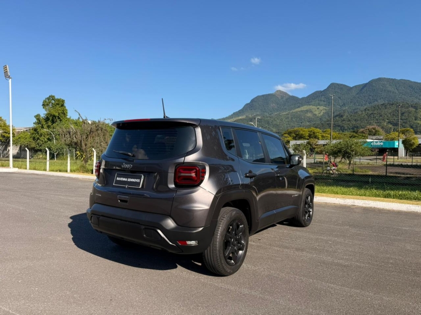 renegade 1.3 t270 turbo flex at64