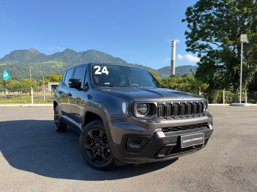 renegade 1.3 t270 turbo flex at613
