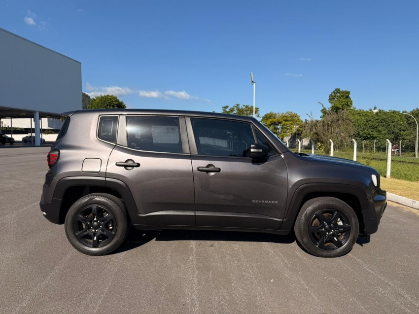 renegade 1.3 t270 turbo flex at65