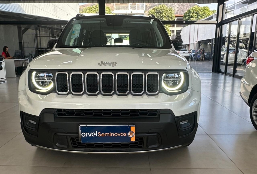 renegade 1.3 t270 turbo flex sahara at614