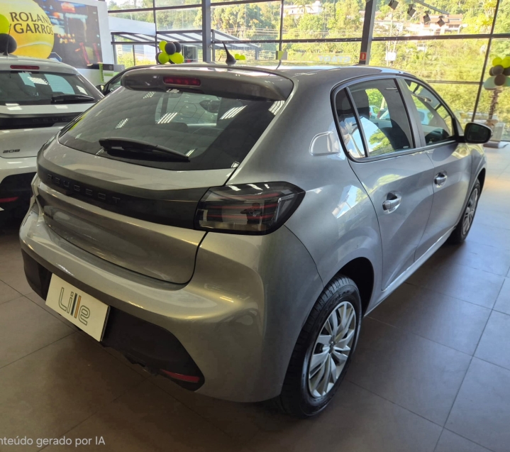 208 active 1.0 manual8