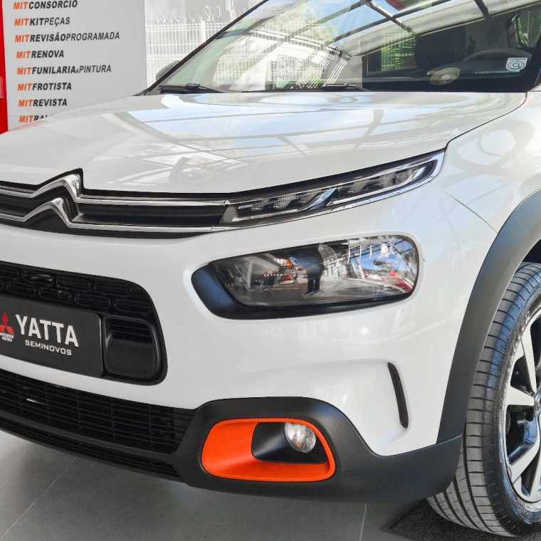 c4 cactus feel
