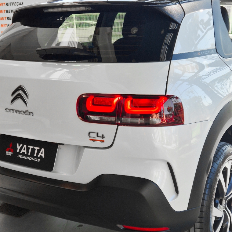 c4 cactus feel