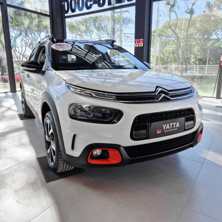 c4 cactus feel c4 cactus feel