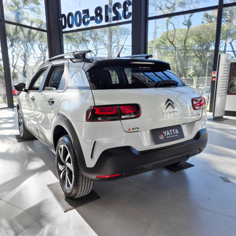 c4 cactus feel