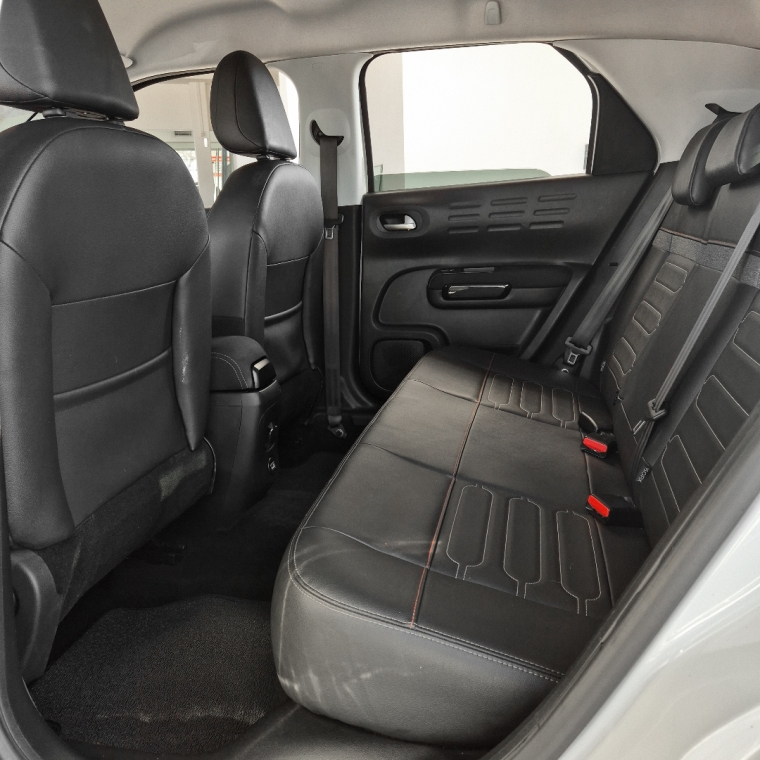 c4 cactus feel