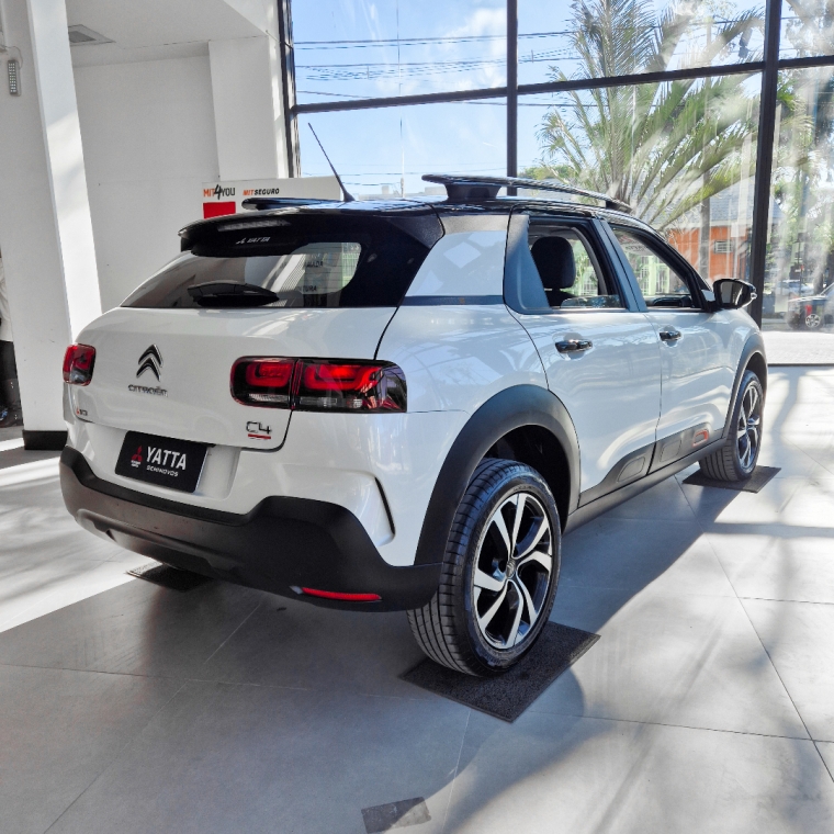 c4 cactus feel