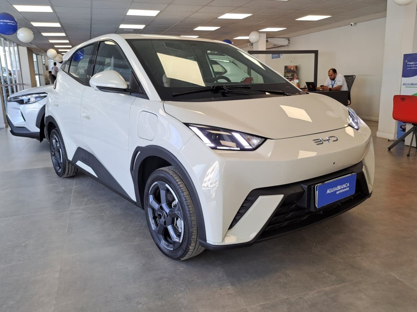 BYD DOLPHIN MINI 38 KW ELÉTRICO 5