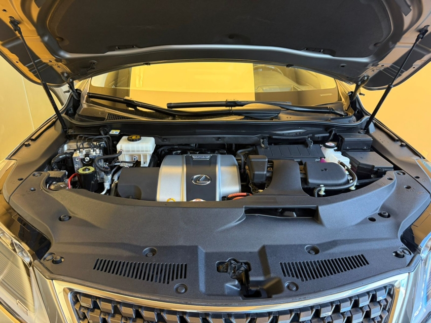 Carro Lexus RX 450h
