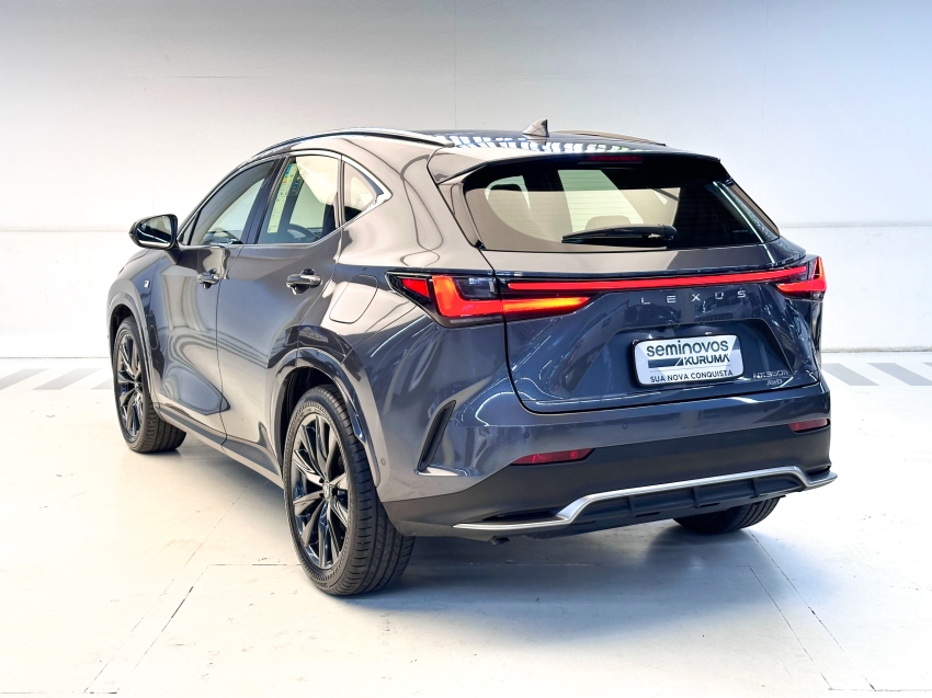 Carro Lexus NX 350h