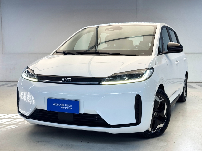 Carro BYD D1