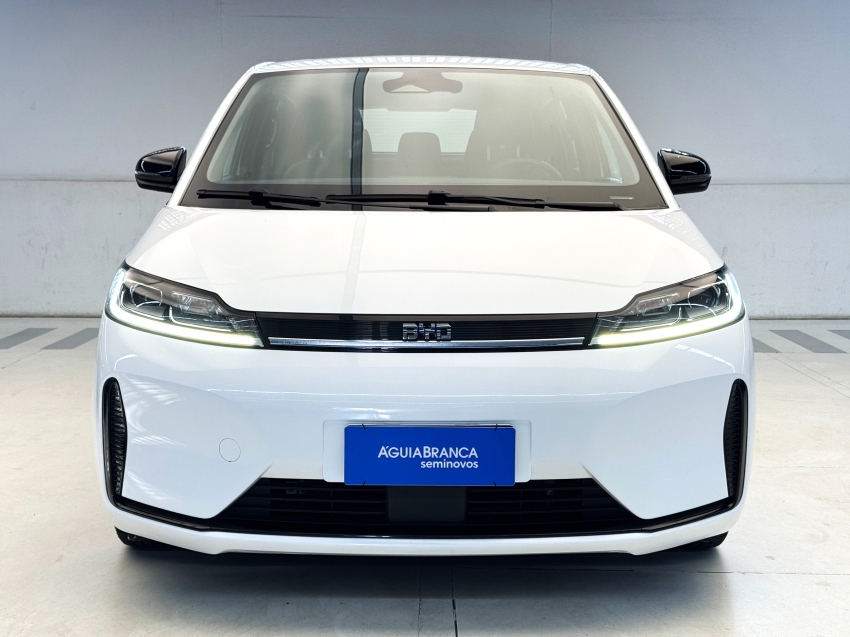 Carro BYD D1