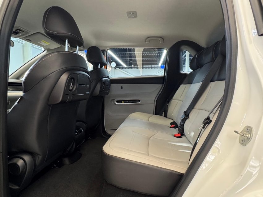 Carro BYD D1