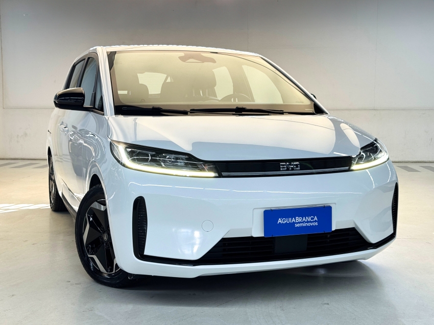 Carro BYD D1