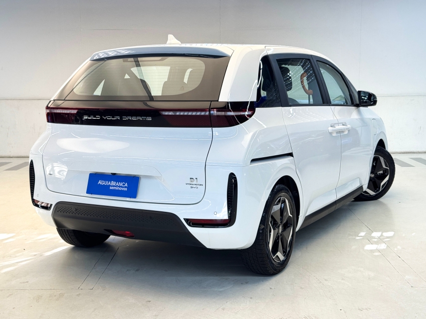 Carro BYD D1