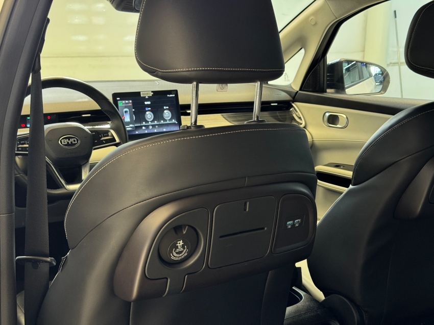 Carro BYD D1