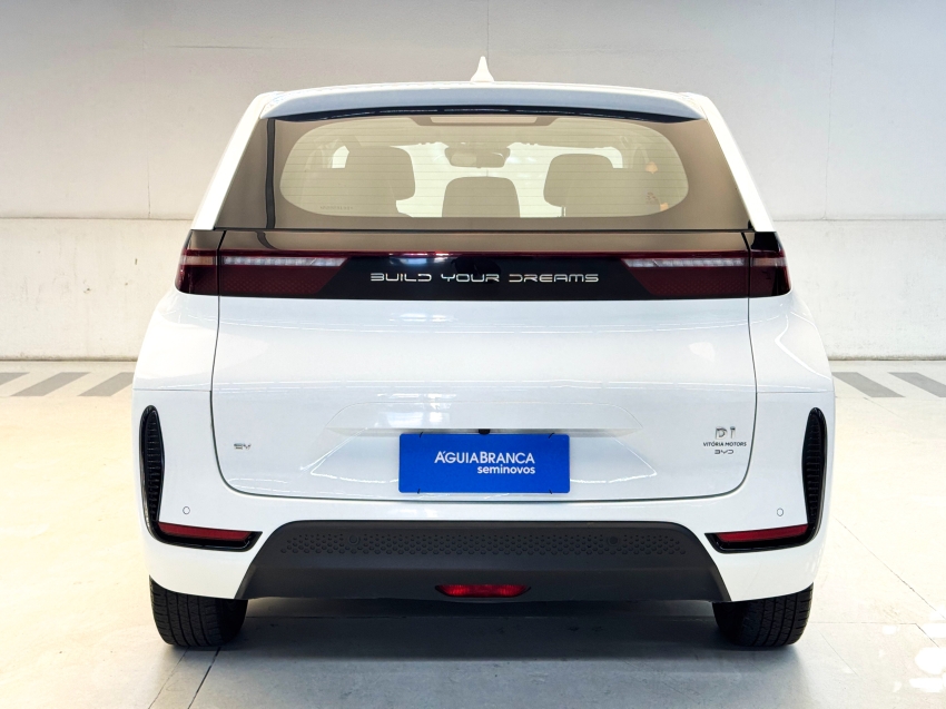 Carro BYD D1