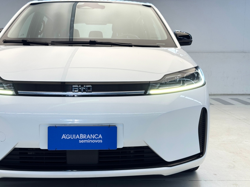 Carro BYD D1
