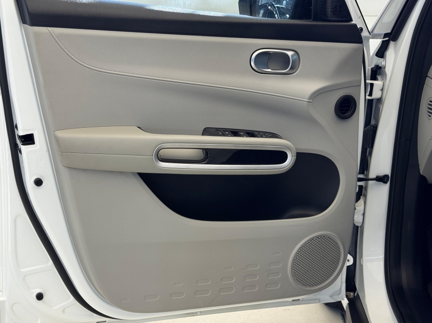 Carro BYD D1