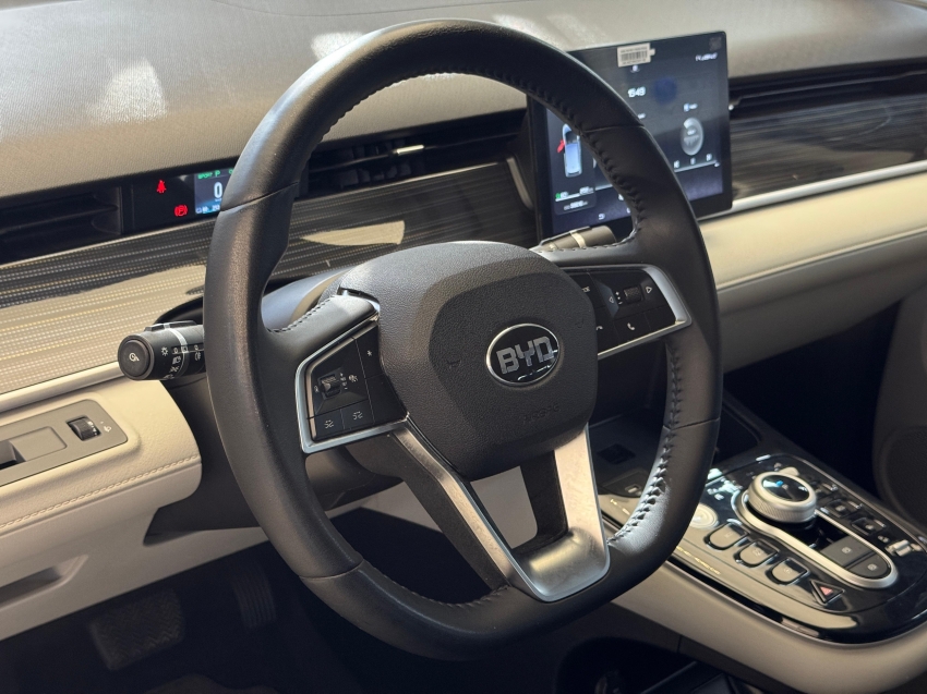 Carro BYD D1
