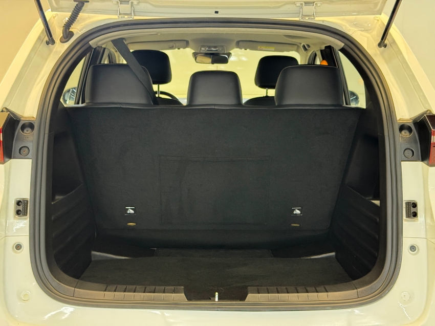 Carro BYD D1