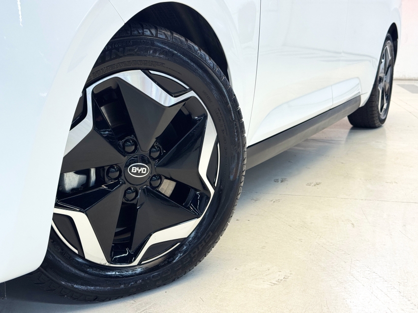 Carro BYD D1