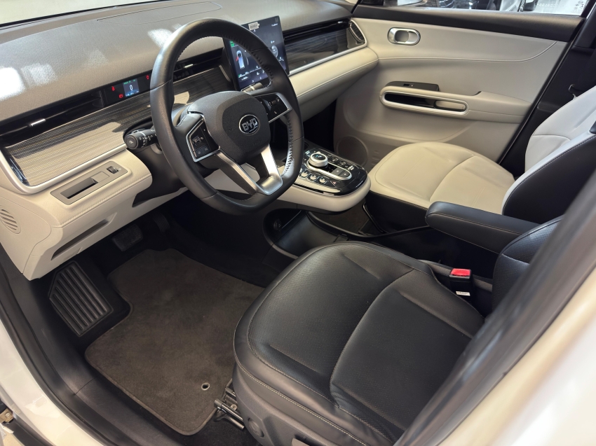 Carro BYD D1