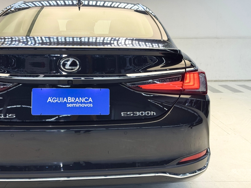 Carro Lexus ES 300h