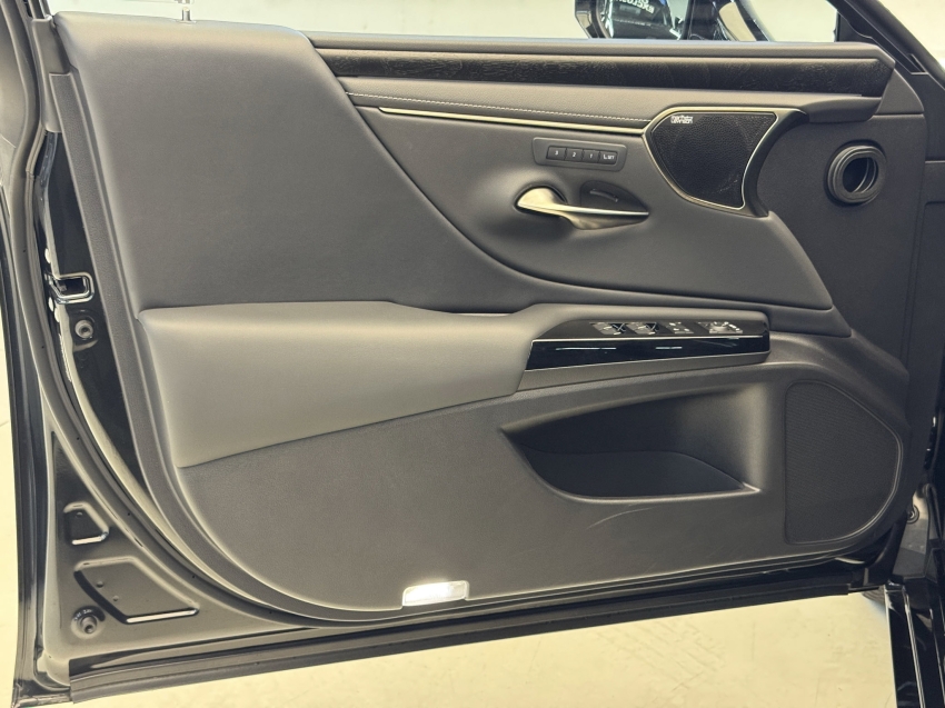 Carro Lexus ES 300h
