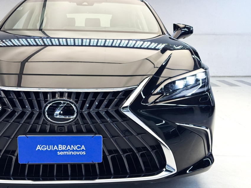 Carro Lexus ES 300h