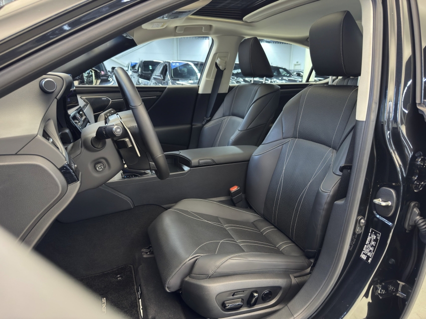 Carro Lexus ES 300h