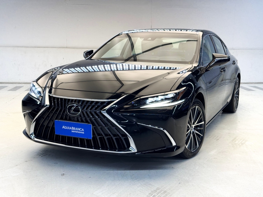 Carro Lexus ES 300h