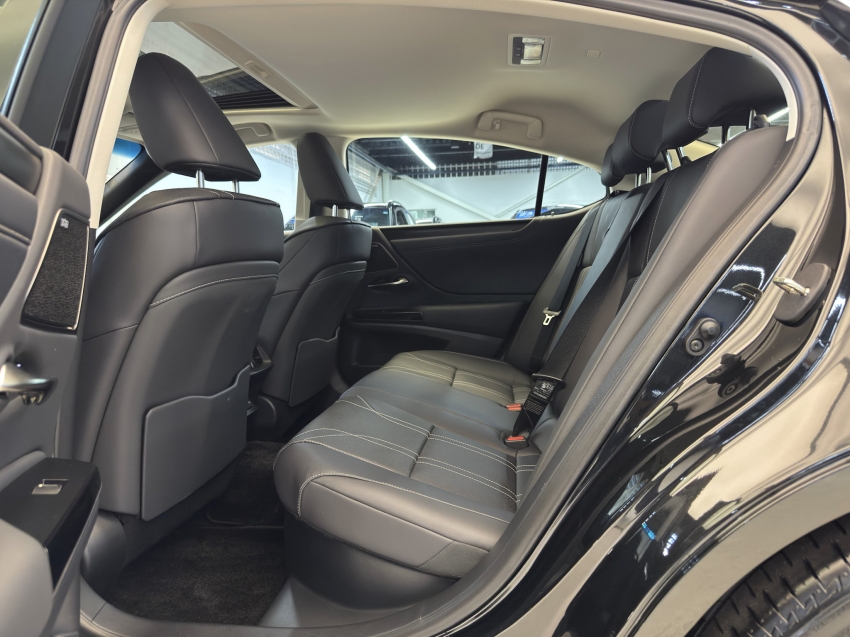 Carro Lexus ES 300h