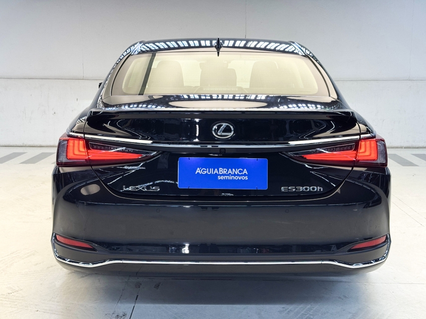 Carro Lexus ES 300h