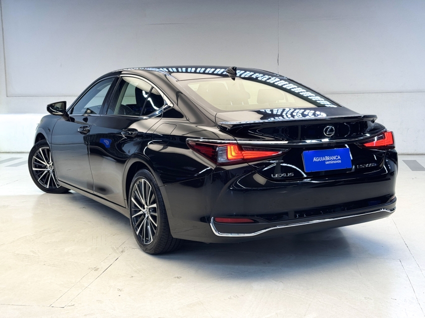 Carro Lexus ES 300h
