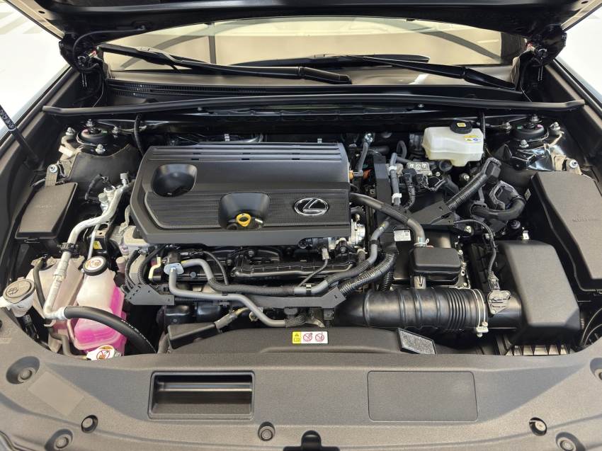 Carro Lexus ES 300h