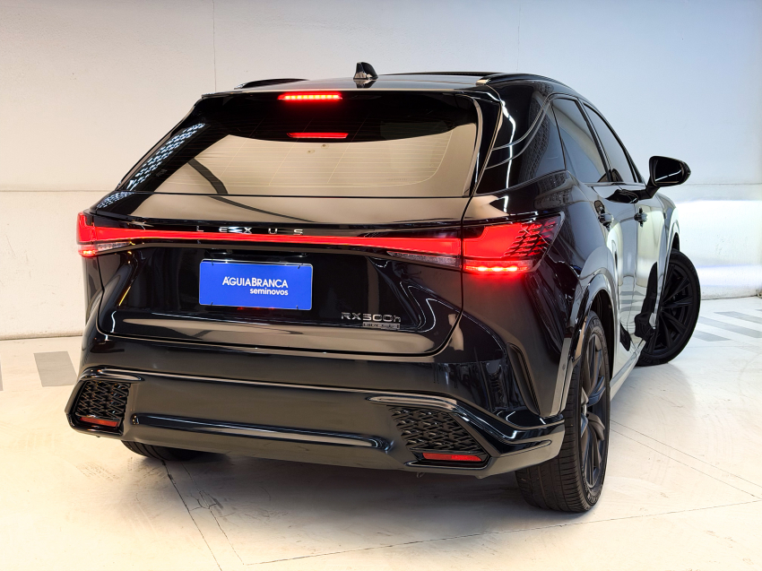 Lexus RX 500h 2.4 TURBO DUAL VVT-I HYBRID F-SPORT AWD AUTOMÁTICO 10