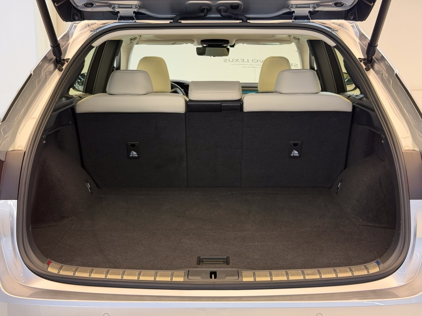 Lexus RX 450H+ 2.5 PHEV AWD CVT 11