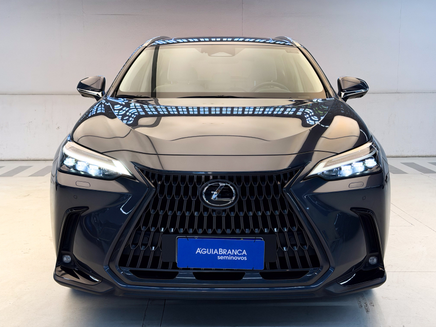 Lexus NX 350h 2.5 16V VVT-I HYBRID LUXURY CVT AWD 3