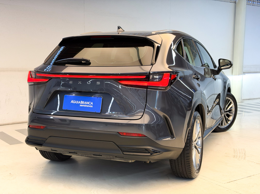 Lexus NX 350h 2.5 16V VVT-I HYBRID LUXURY CVT AWD 10