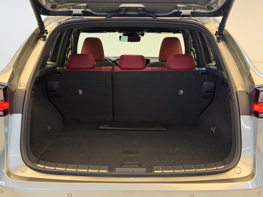 Lexus NX 450h+ 2.5 PHEV AWD CVT 11