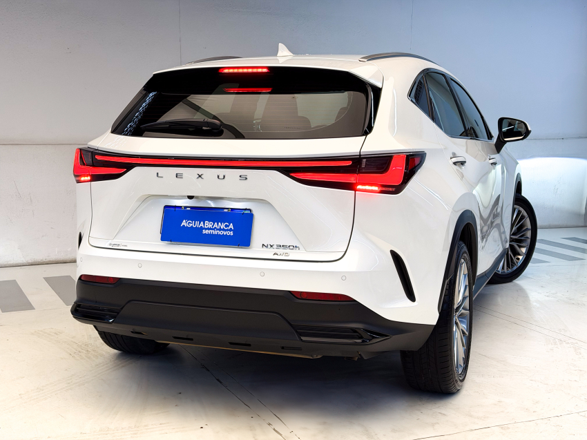 Lexus NX 350h 2.5 16V VVT-I HYBRID LUXURY CVT AWD 10