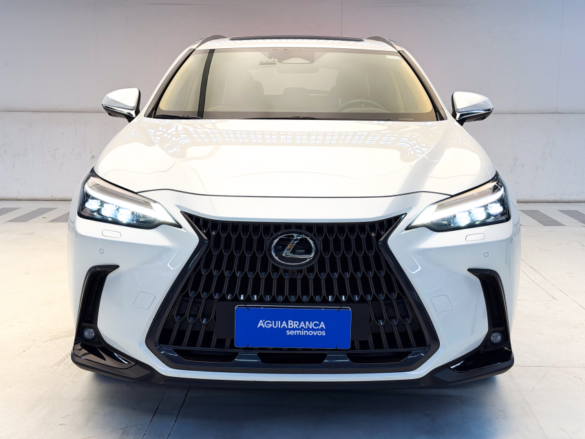 Lexus NX 350h 2.5 16V VVT-I HYBRID LUXURY CVT AWD 3