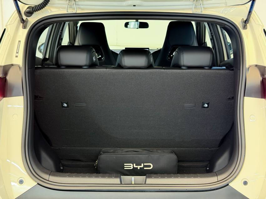 BYD DOLPHIN MINI 38 KW ELÉTRICO GS 11