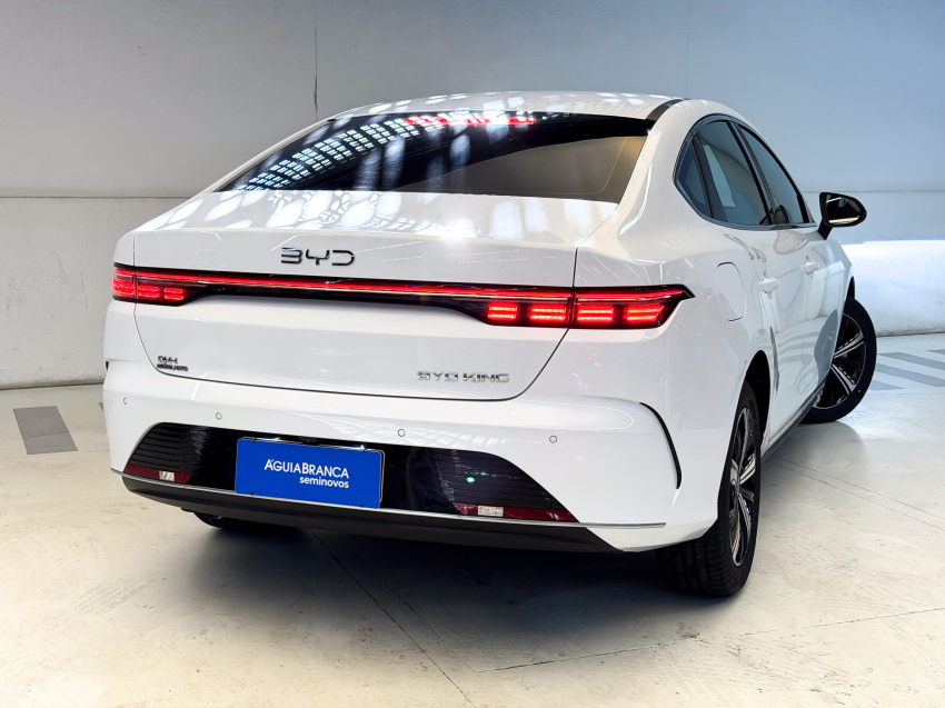 BYD KING 1.5 DM-I PHEV GS AUTOMÁTICO 10