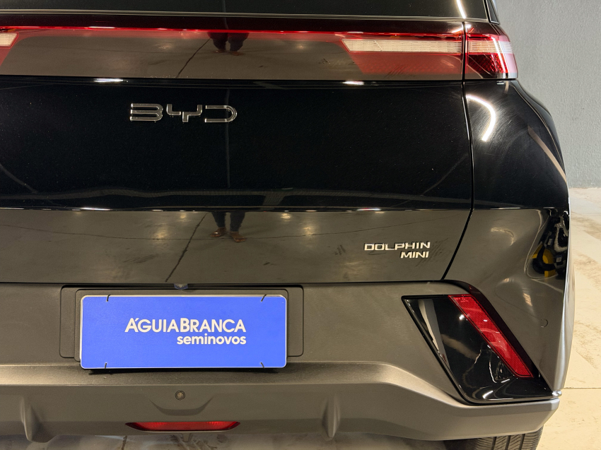 BYD DOLPHIN MINI 38 KW ELÉTRICO GS 9