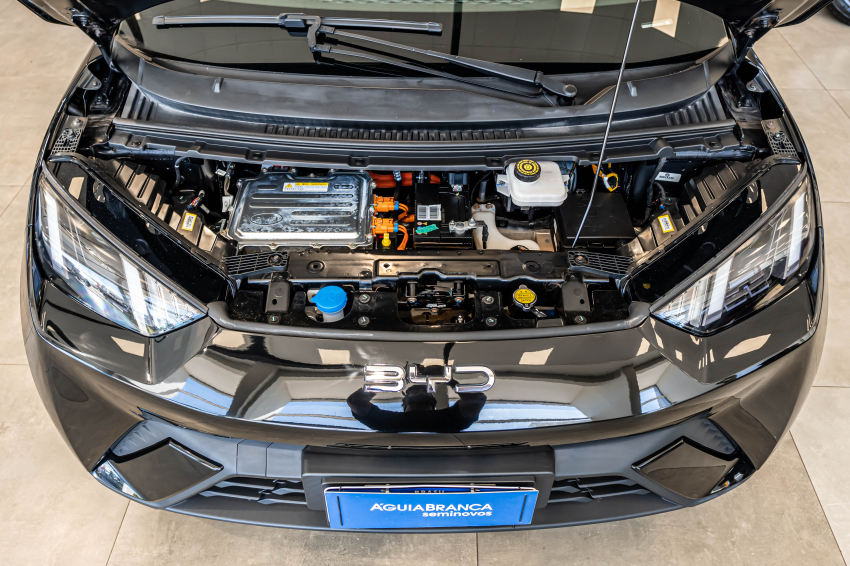 BYD DOLPHIN MINI 38 KW ELÉTRICO 6