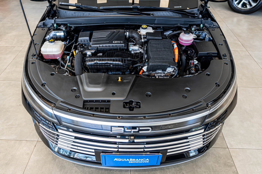BYD KING 1.5 DM-I PHEV GS AUTOMÁTICO 6