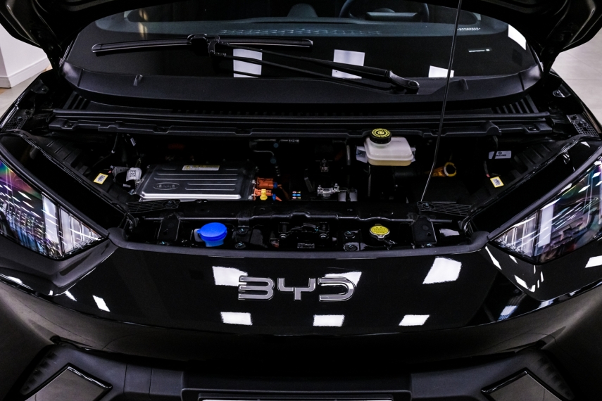 Carro BYD DOLPHIN MINI