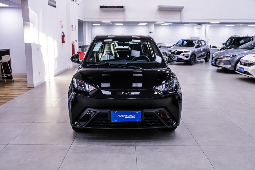 Carro BYD DOLPHIN MINI